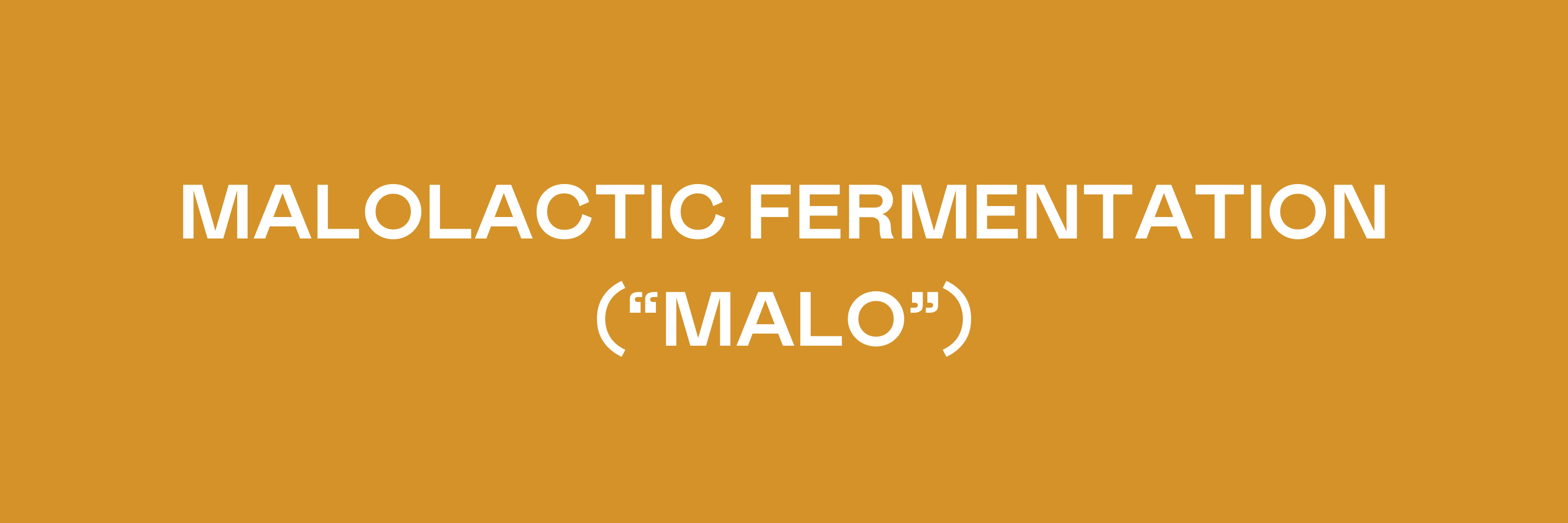 Malolactic Fermentation (“Malo”)
