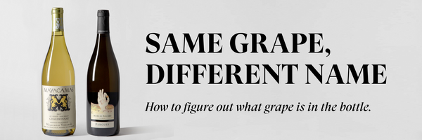 Same Grape Different Name: How to figure out what grape is in the bot Same Grape Different Name: How to figure out what grape is in the bot