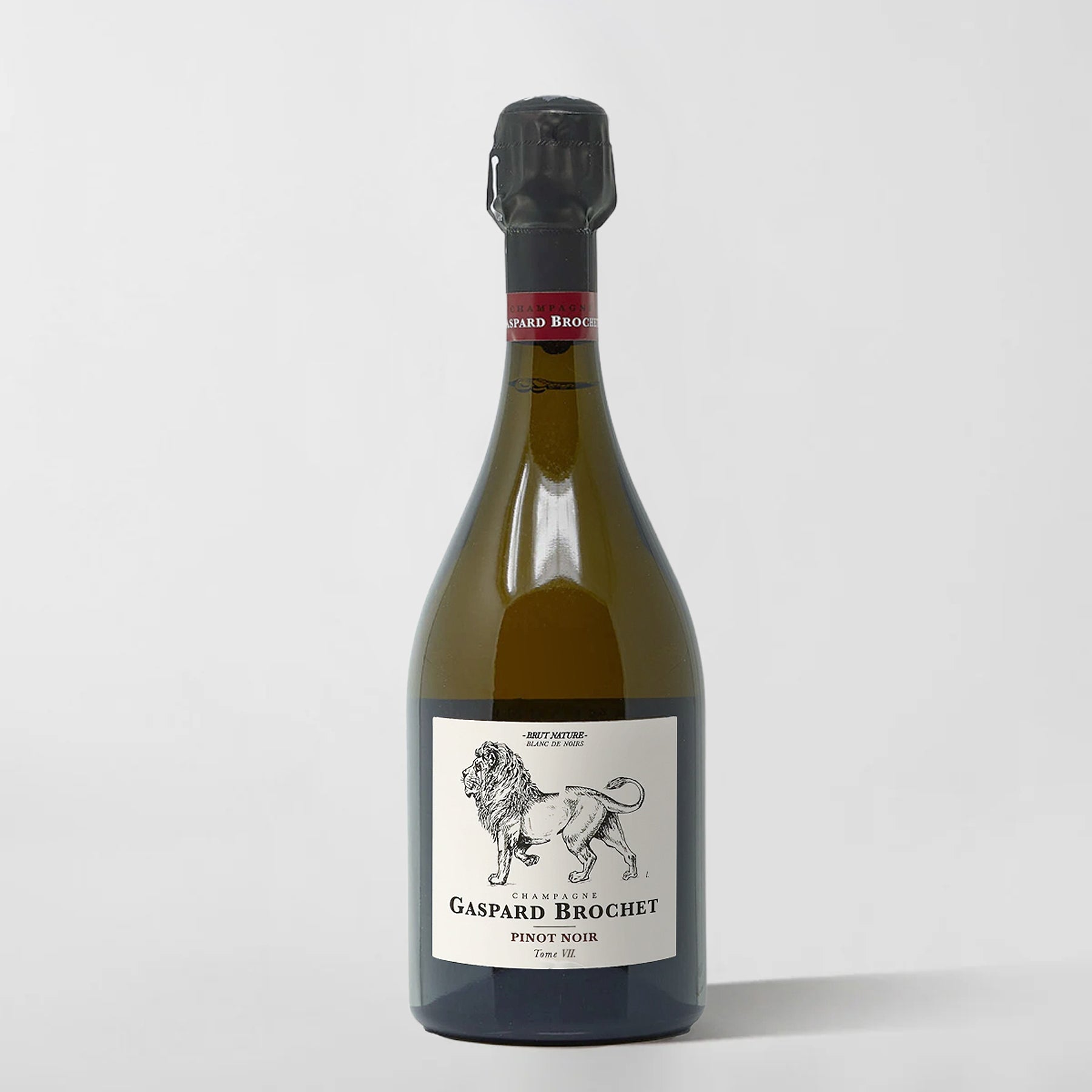 Gaspard Brochet, 'Le Lion Tome VII' Extra Brut (Base 2023) (Pre-Sale Arriving June)