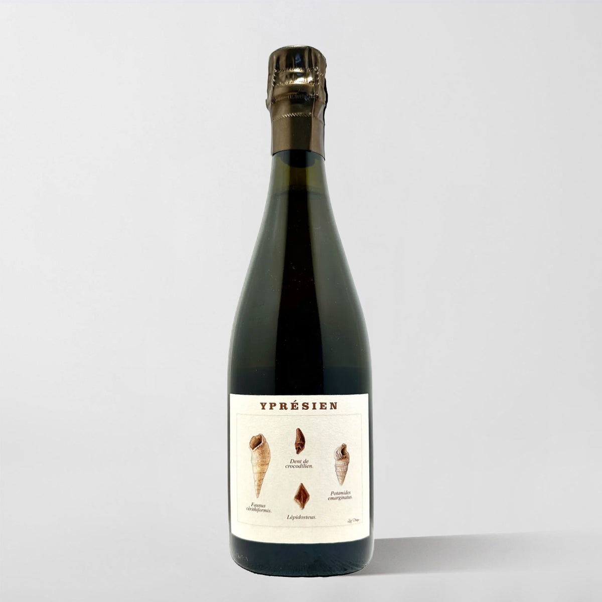 Legrand-Latour, 'Ypresien' Brut Nature (base 2021) - Parcelle Wine
