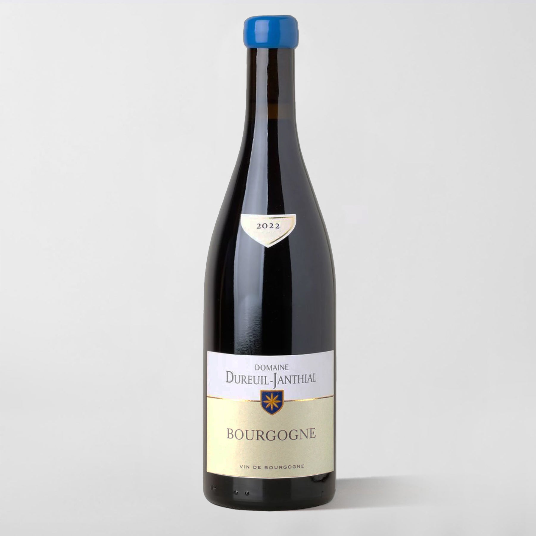 Vincent Dureuil-Janthial, Bourgogne Rouge 2022 - Parcelle Wine