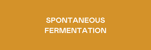 What is Spontaneous Fermentation?