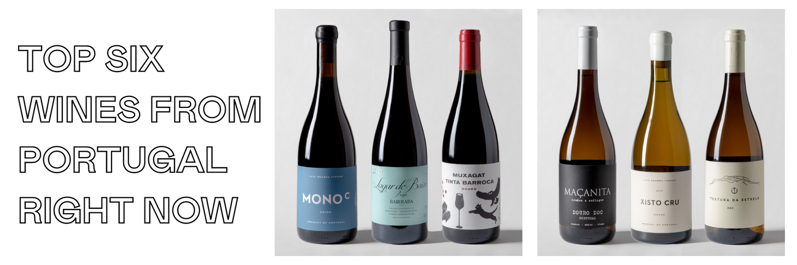 Our Favorite Portuguese Wines