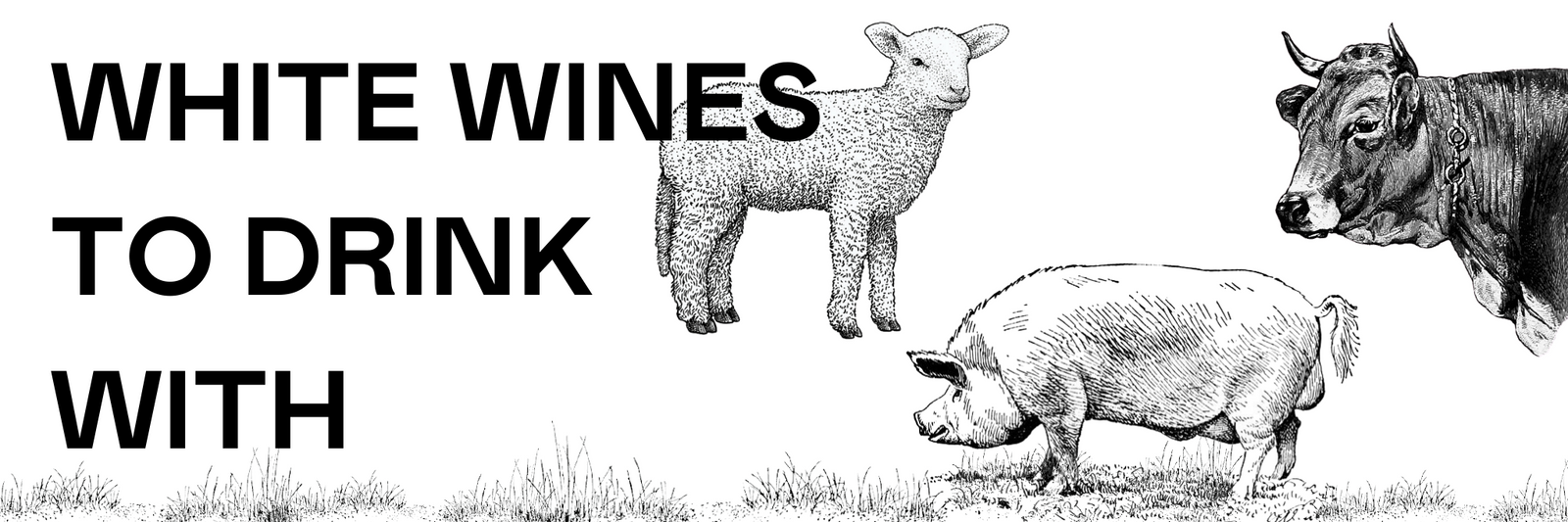 The 8 Best White Wines to Drink with Red Meat