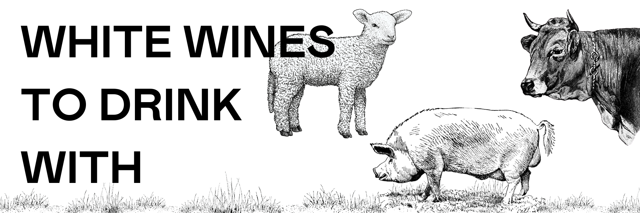 The 8 Best White Wines to Drink with Red Meat