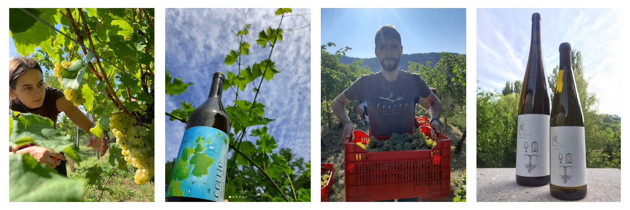 My Wine: Mitja Sirk and Marta Venica