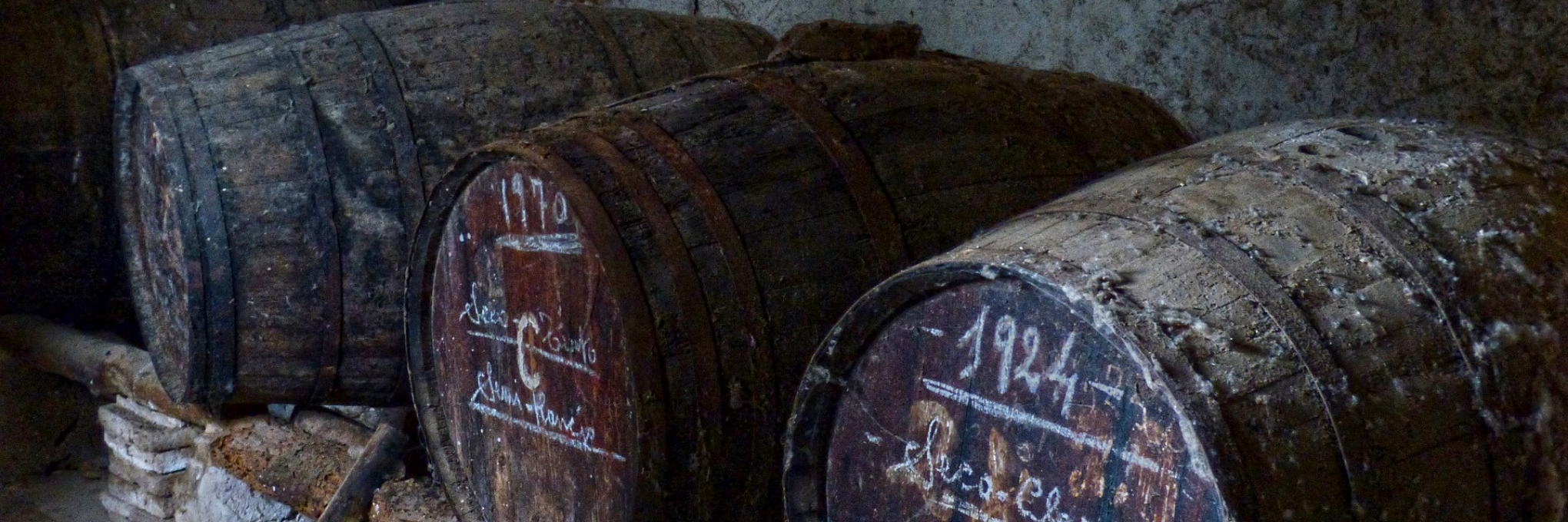 Aged White Wine: Which are Dead, and Which are Delicious?