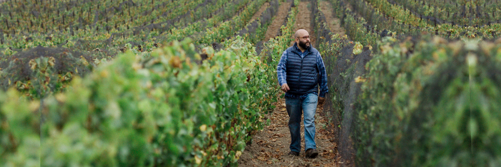 My Wine: Rajat Parr