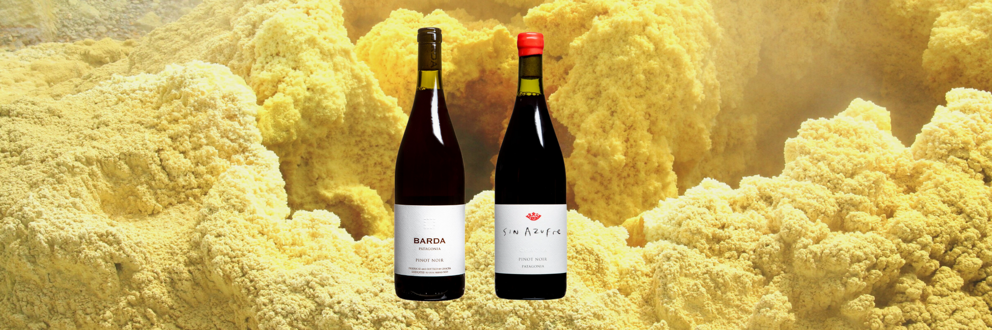 What Does Sulfur Do To Wine?
