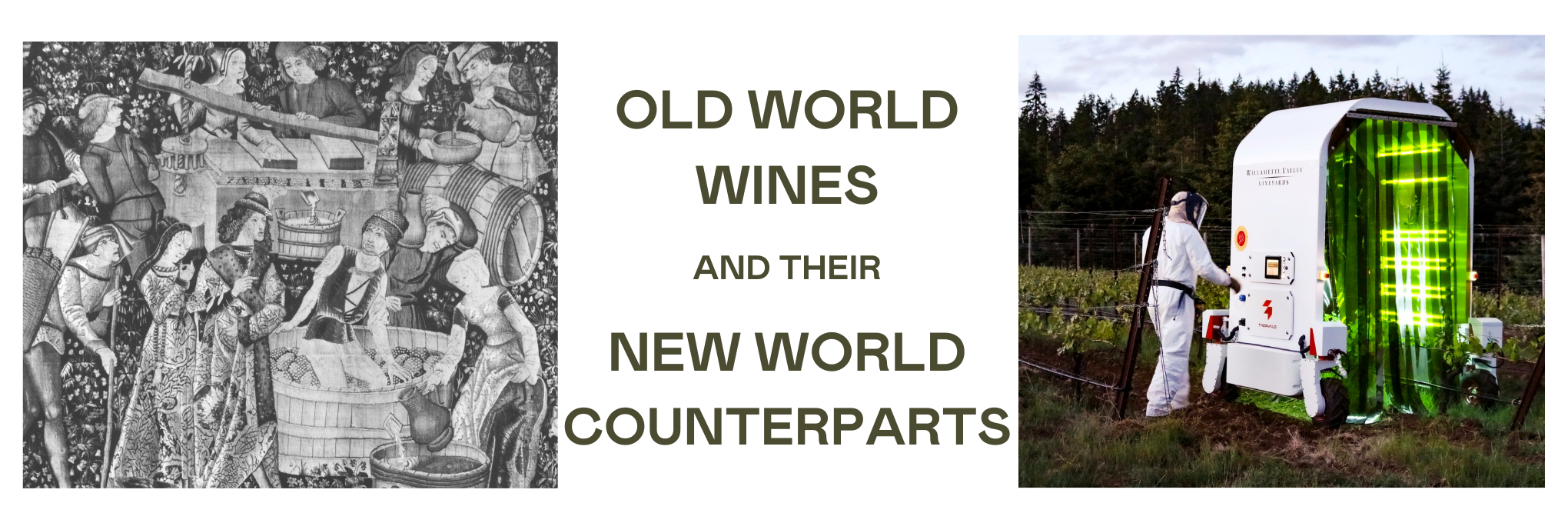 Old World vs New World Wines