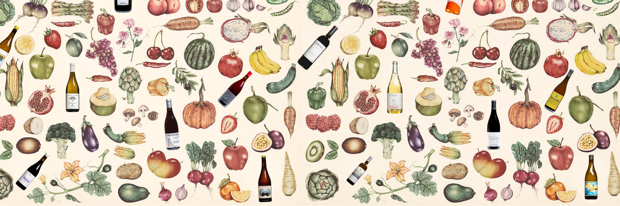 Best Wine Pairings for Vegetarian Food's Article Visual