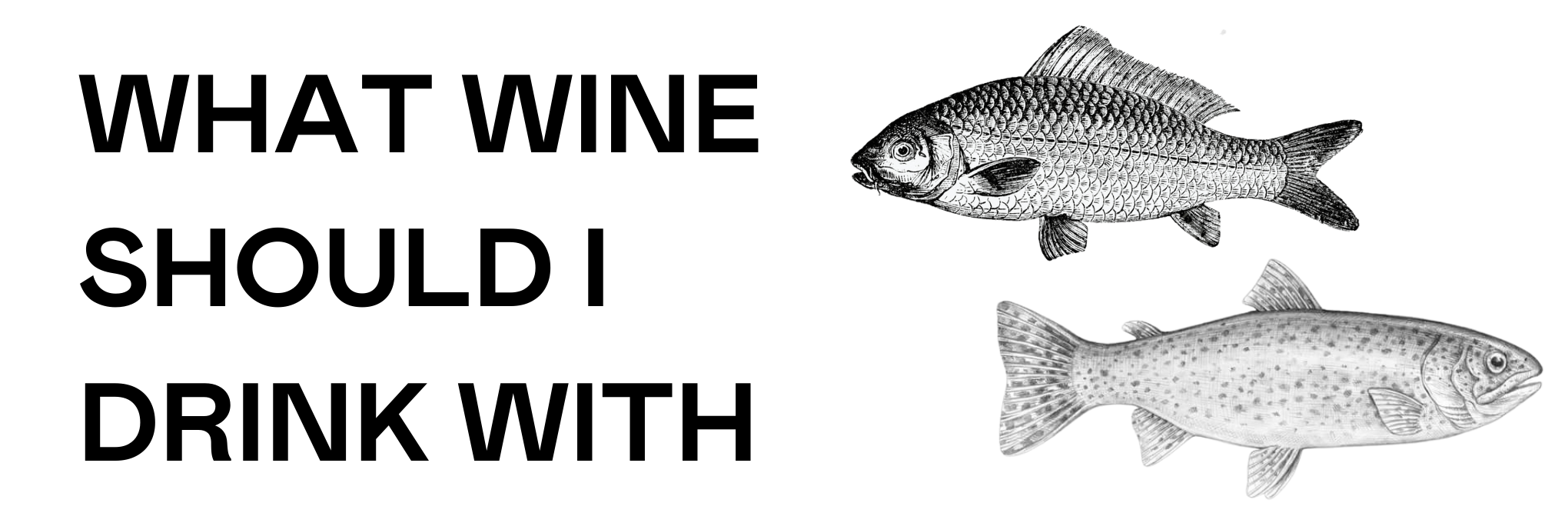 What Red Wine Should I Drink with Seafood?