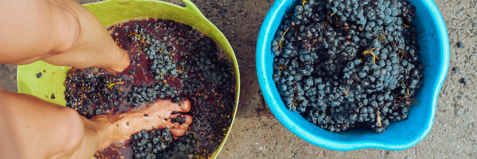 What Actually is Natural Wine?