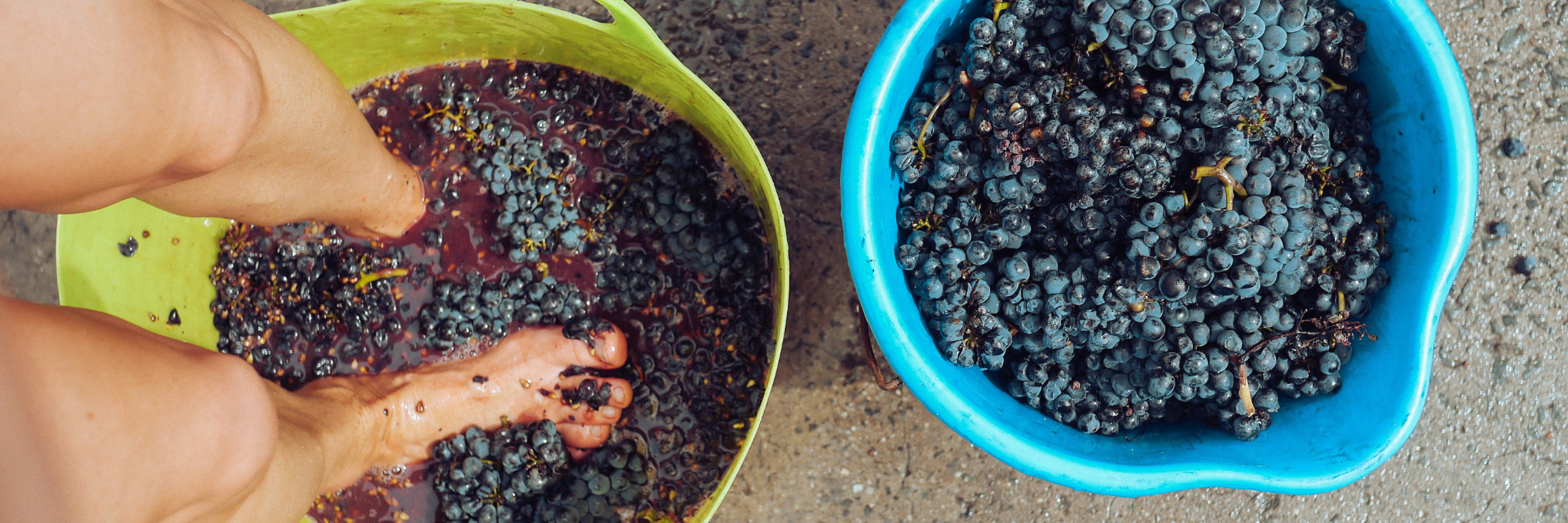 What Actually is Natural Wine?