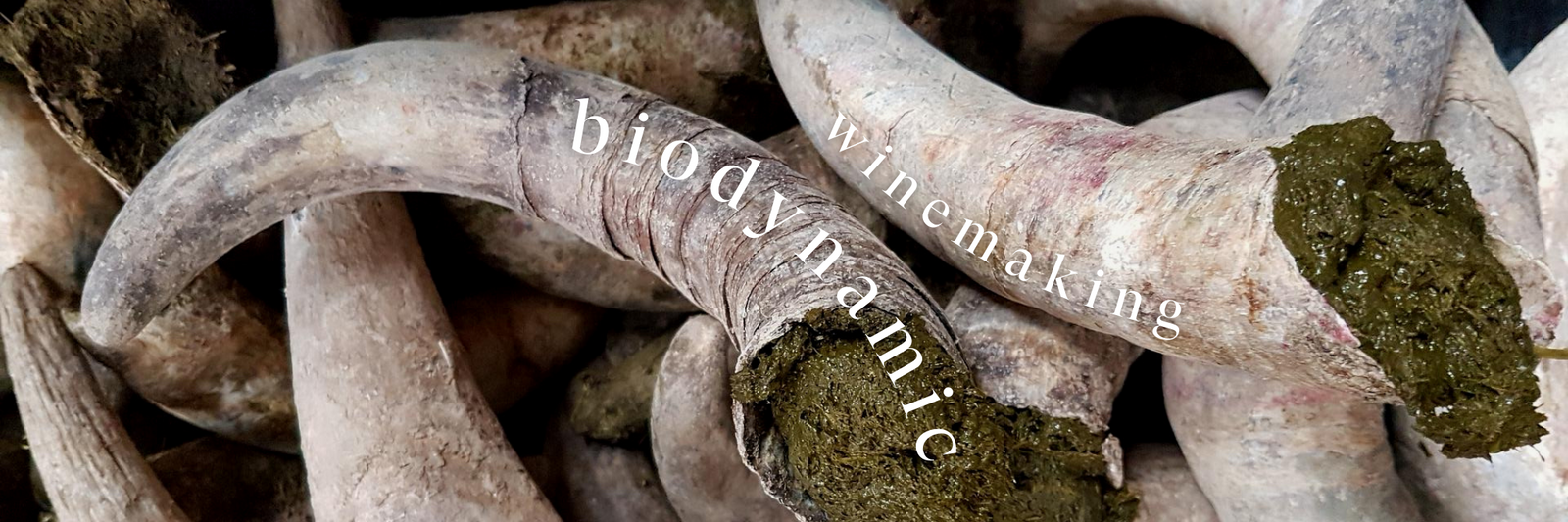 What Is Biodynamic Wine?