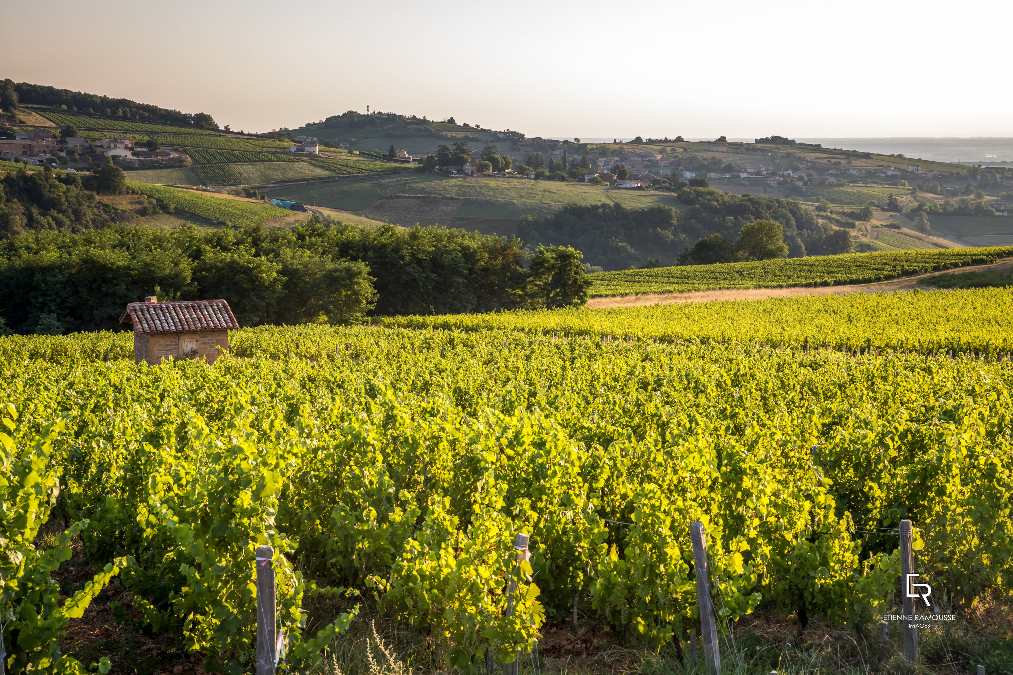 Beaujolais