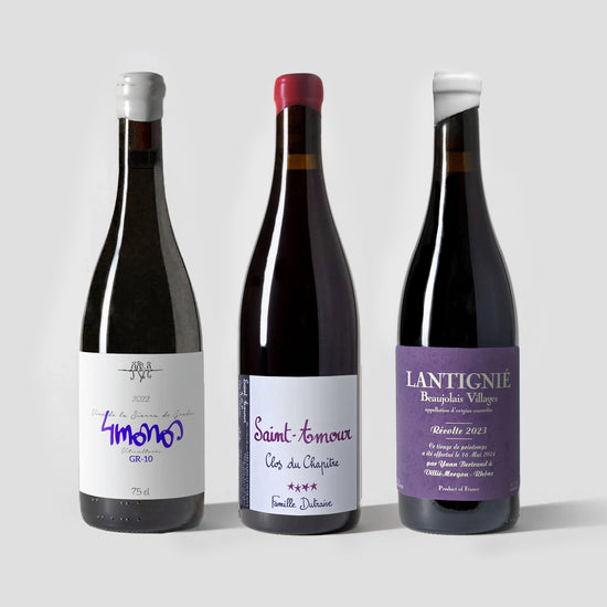 Chilled Reds 3-pack + 'Wine Simple' by Aldo Sohm