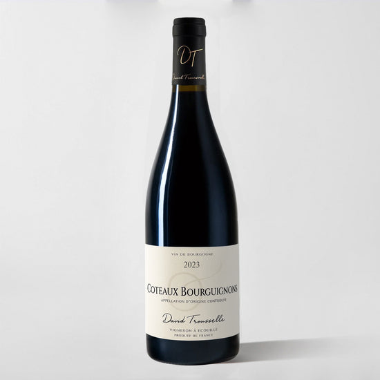 David Trousselle, Coteaux Bourguignons Rouge 2023 - Parcelle Wine