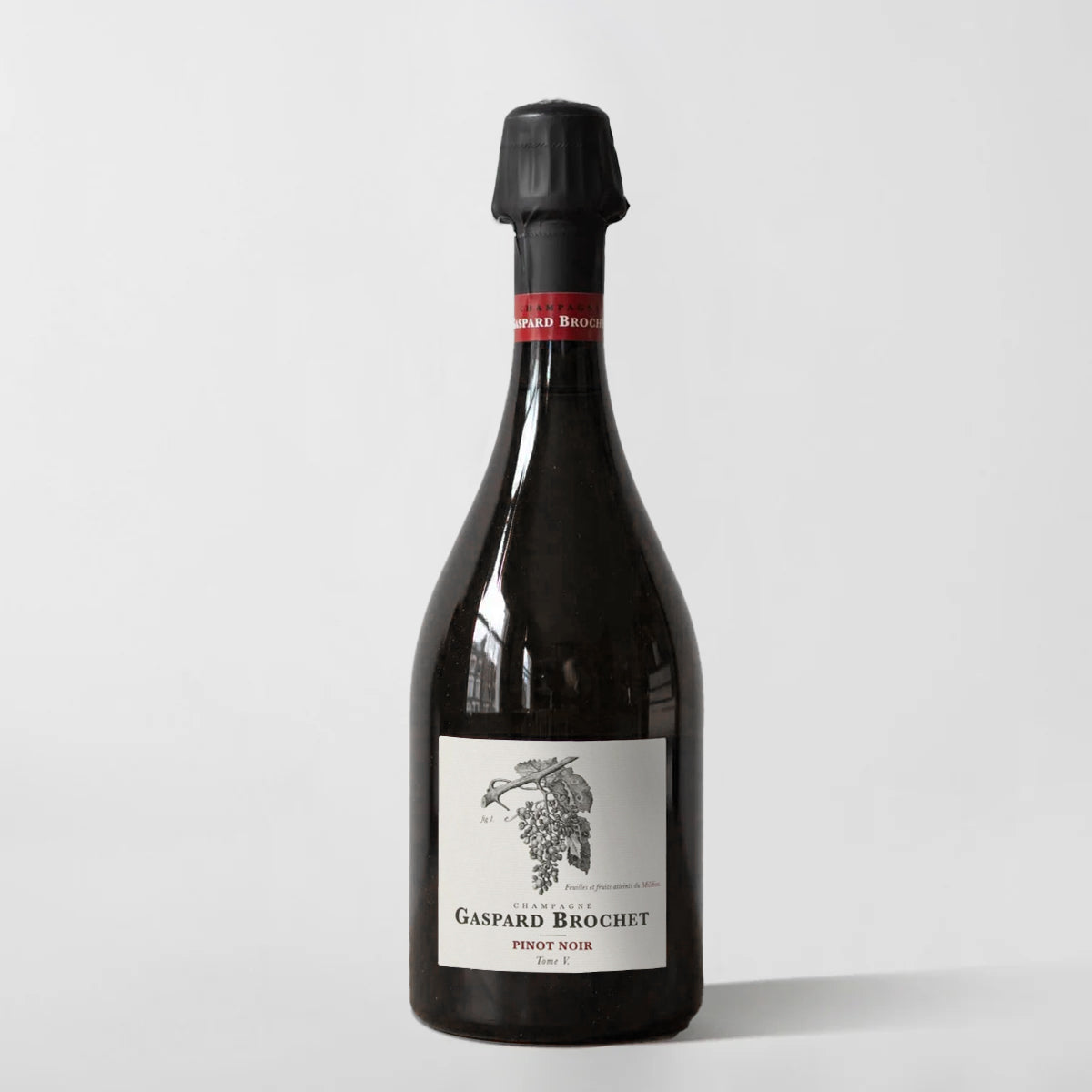 Gaspard Brochet, Brut Nature Pinot Noir 'Tome V' (base 2021) - Parcelle Wine