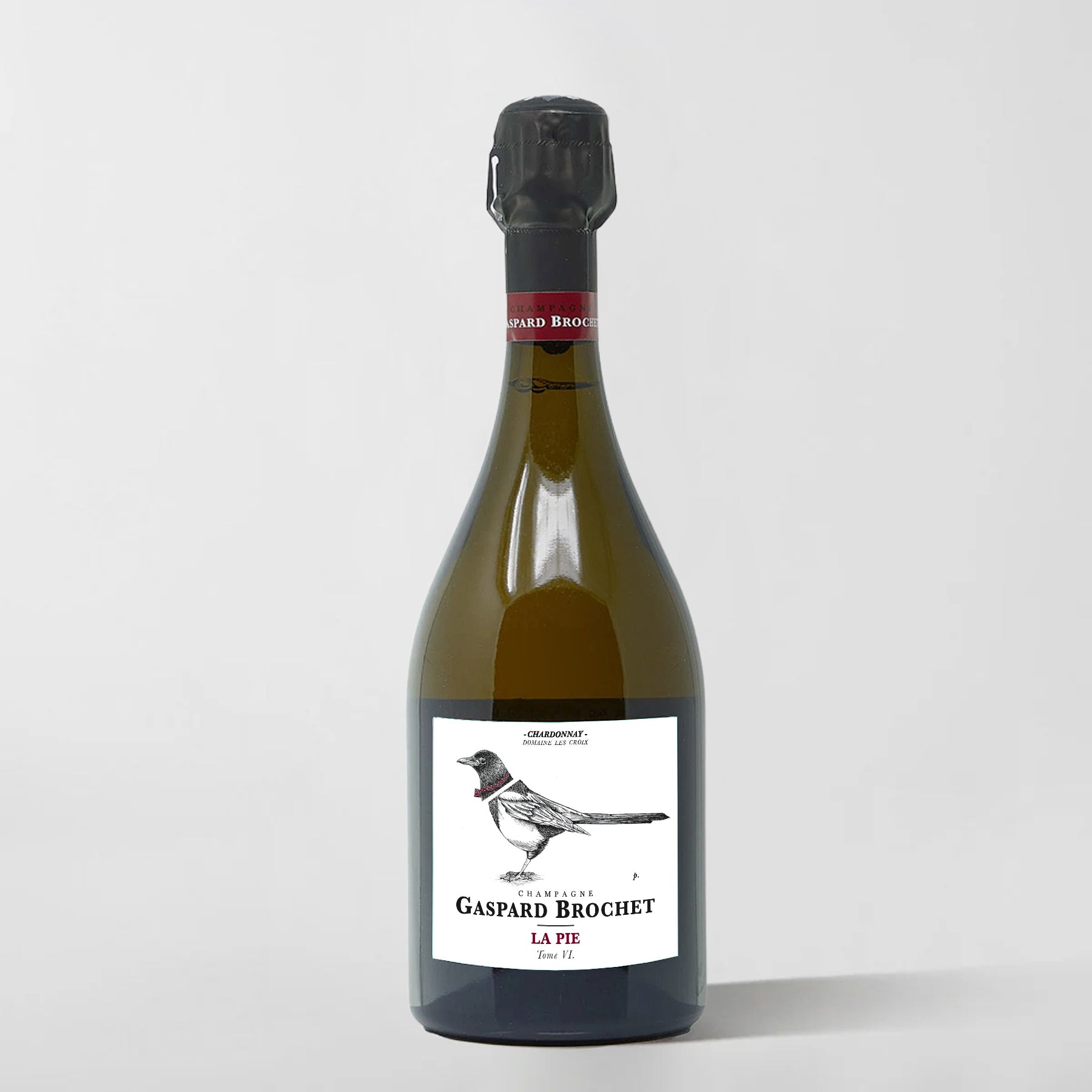 Gaspard Brochet, 'La Pie Tome VI' Extra Brut (Base 2023) (Pre-Sale Arriving June)