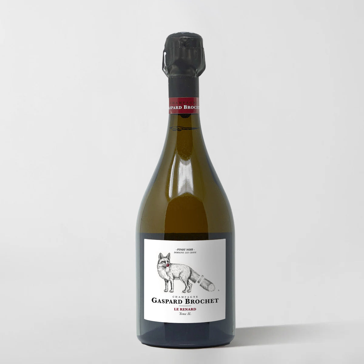 Gaspard Brochet, 'Le Renard Tome II' Brut Nature (base 2022) - Parcelle Wine