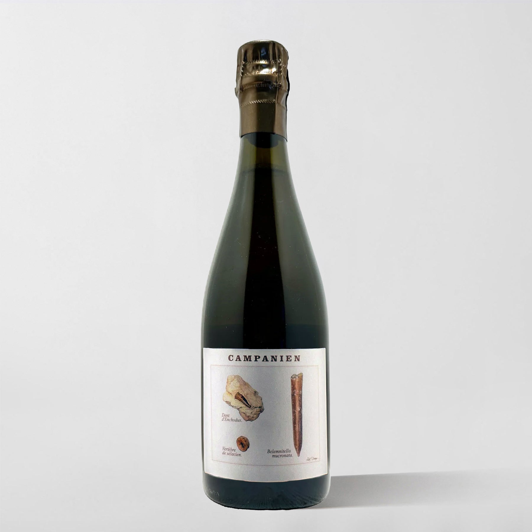 Legrand-Latour, 'Campanien' Brut Nature (base 2020) - Parcelle Wine