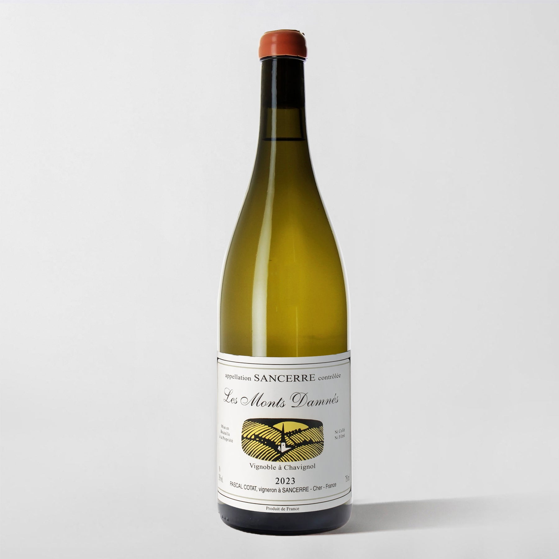 Pascal Cotat, Sancerre 'Les Monts Damnés' 2023 - Parcelle Wine