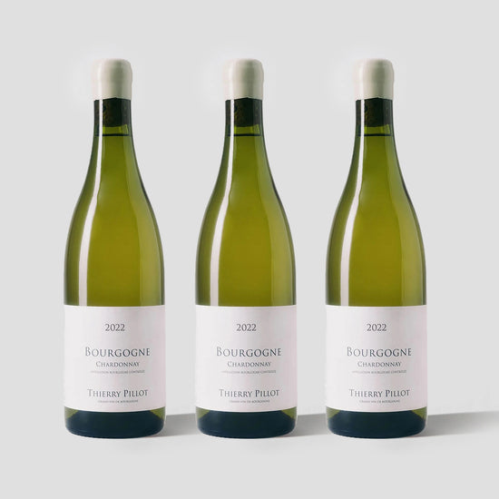 Thierry Pillot, Bourgogne Blanc 2022 3-Pack