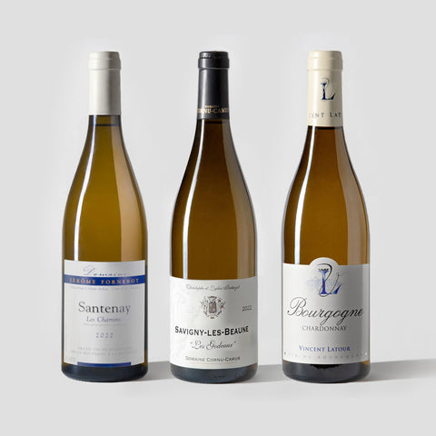 What's White Burgundy? 3-Pack - Parcelle Wine