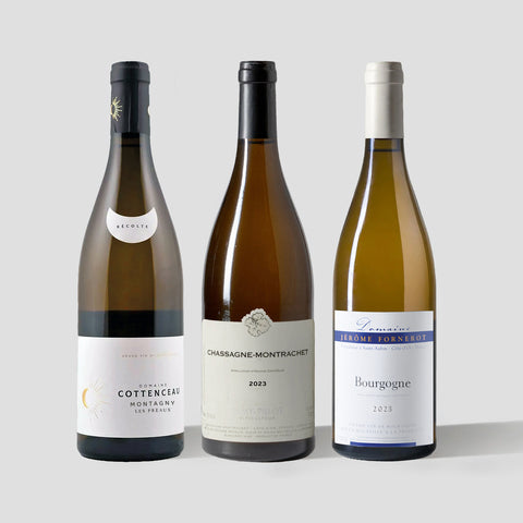 What's White Burgundy? 3-Pack - Parcelle Wine