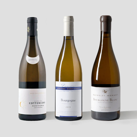 What's White Burgundy? 3-Pack
