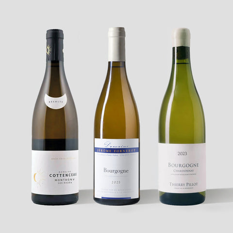 What's White Burgundy? 3-Pack