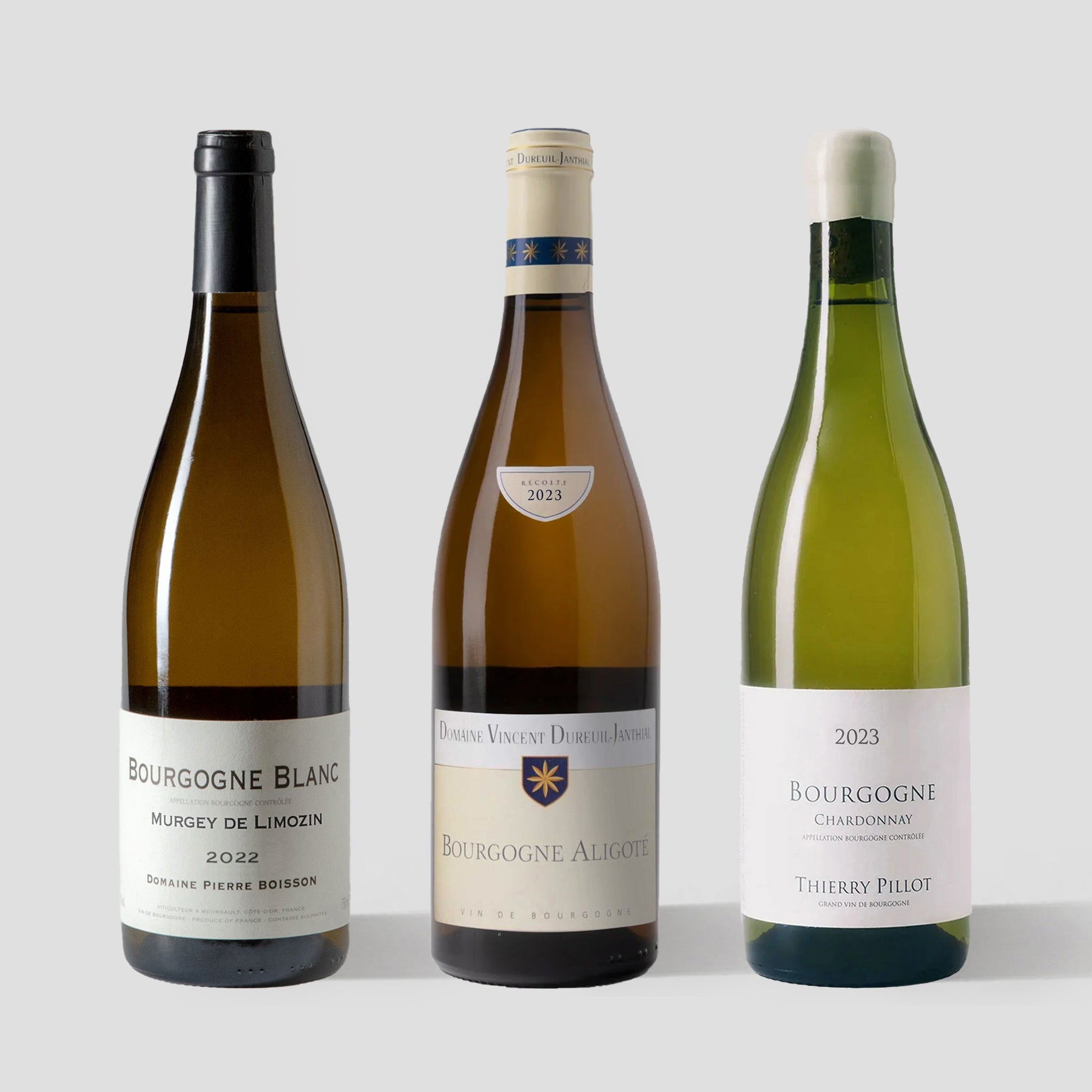 What's White Burgundy? 3-Pack