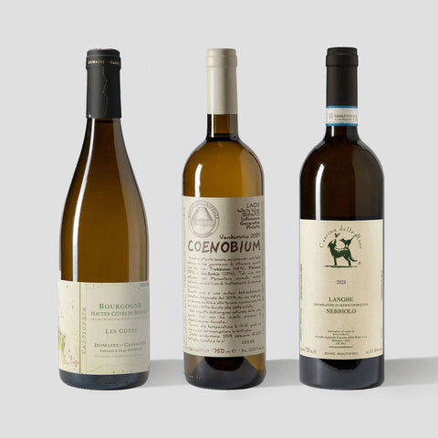 Woman Winemakers 3-Pack