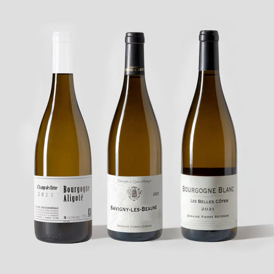 What's White Burgundy? 3-Pack