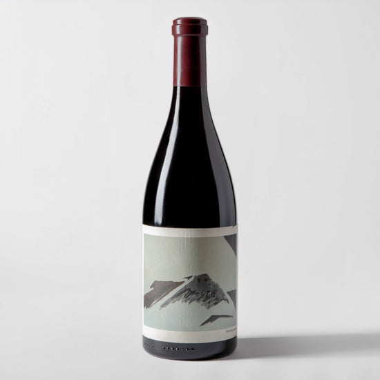 Chanin, 'Sanford & Benedict Vineyard' Pinot Noir 2015 - Parcelle Wine