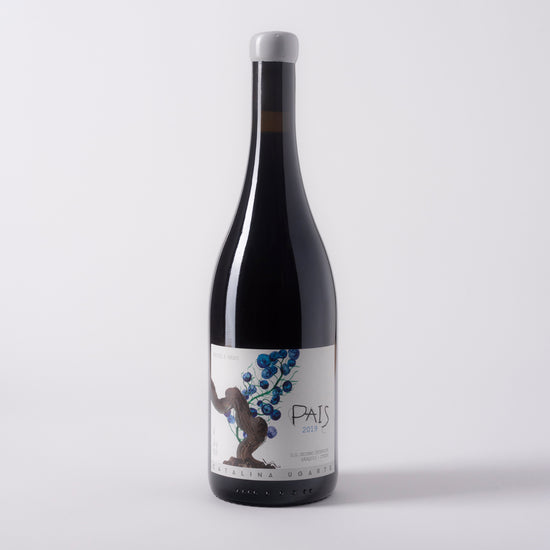 Catalina Ugarte, País Chile 2019 - Parcelle Wine