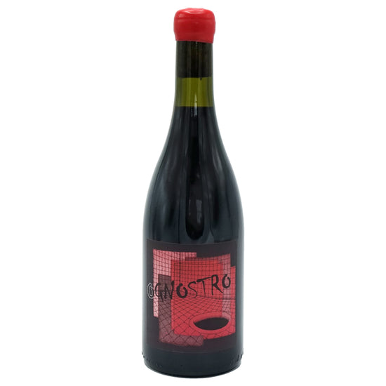Marco Tinessa, 'Ognostro' Rosso Campania 2017 - Parcelle Wine