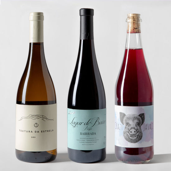 Wine School 3-pack - Parcelle Wine